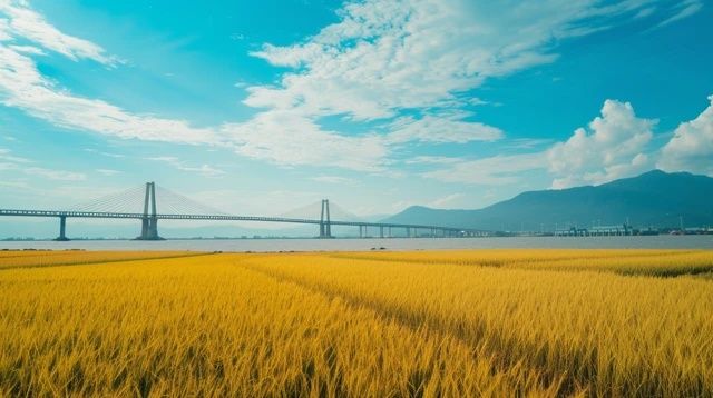 位于苏浙皖交界的是宜兴竹海和宜兴太华竹海,溧阳只和安徽接壤//记录工地搬砖的点
