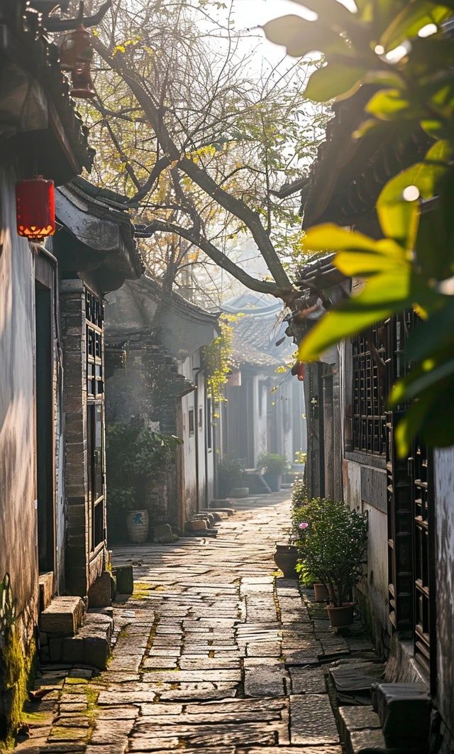 西塘古镇,江南水乡的一颗璀璨明珠,白墙黑瓦,古桥流水,弄堂幽深