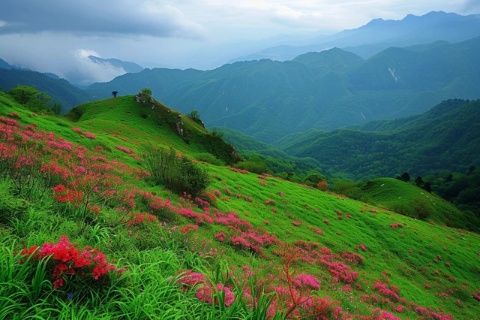当人们认识到知识的价值而非只是肤浅的认知时,农村山野中的野菜品种将呈现出多样性。