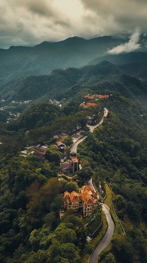 别再独自去厦门!当地团游更省心,玩转五大必去景点