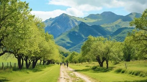 陕西避暑胜地大揭秘:长武与太白的清凉夏日活动天堂