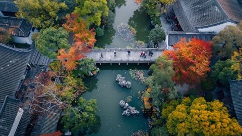 探寻浙里秋色:美食与文化之旅