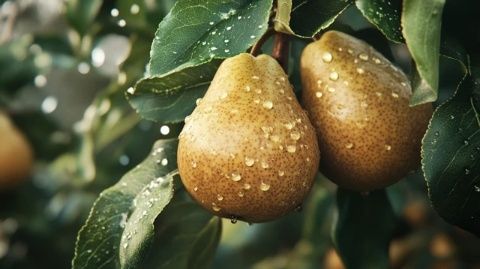 小冻梨领衔美食大战:谁是最后的胜者?