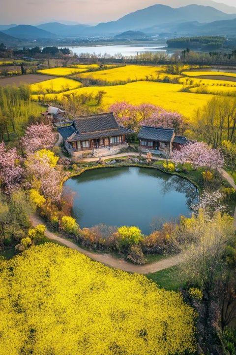 江安县旅游攻略,探秘自然美景与美食天堂