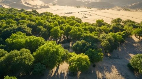 博尔塔拉河畔绿意浓:新疆首个自治区级水利风景区落户博乐市,打造生态旅游新地标