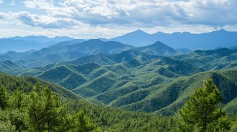 吉林白山:探寻春日山野珍馐,体验大自然的独特风味