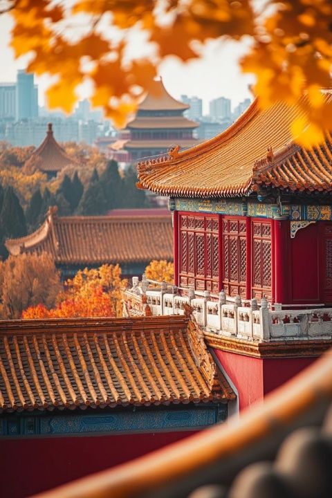 北京·雅宝路首家林家一台州菜店开业了!