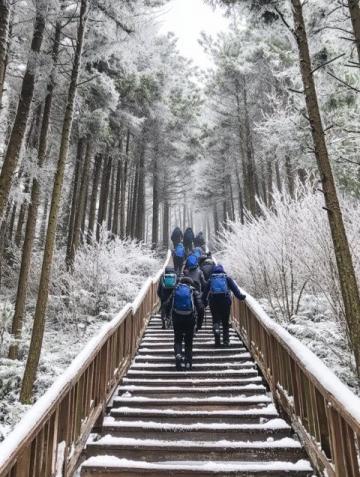 冬日川南探索之旅:乐山大佛、峨眉山与螺髻山温泉体验