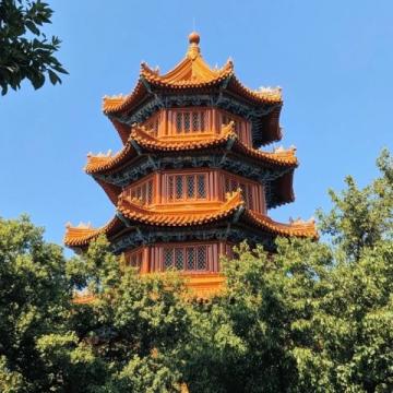 雨中探访临安:南屏塔、乐平美食与湍口绿道之旅