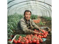 宜宾永兴：将工业与农业的和谐相结合，谱写食材新篇章
