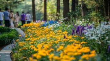 春游赏花|解锁佛山高明2日1夜亲子游新玩法