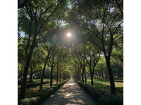 回忆家乡的风光：广州天河公园