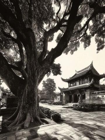 泉州行程总结:再游泉州,又回首福建之旅