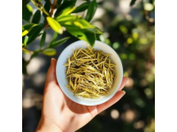我是天南山的人,最喜欢的特产就是天南山茶叶.