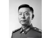 西安必访的秦镇凉皮：美味与历史的完美结合