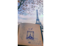 我的旅行日记：一场轰动性的冒险之旅!