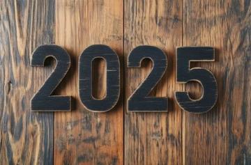 2025年的头条之旅:我的年度记忆记录