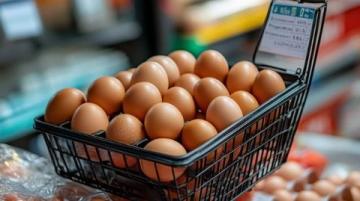 市民关注肉禽蛋价格波动