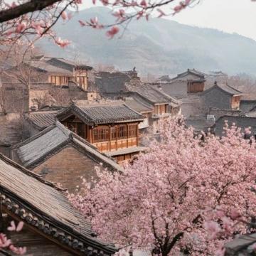 绵阳平武:赏梅花十里花海的周边游攻略