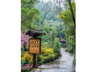 二三月旅行推荐：春城昆明美食美景攻略