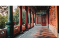 早春探秘：颐和园初醒的宁静之美