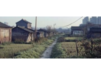 亳州“毫”音误读现象普遍，本地特色地名引关注