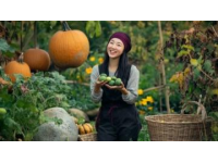 赵县美食探秘：家乡蒸菜的传统韵味与创新之旅
