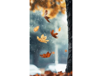 秋雨绵绵，气温下降