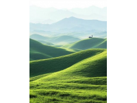 南方的呼伦贝尔大草原—湖南邵阳南山牧场这次来湖南旅行