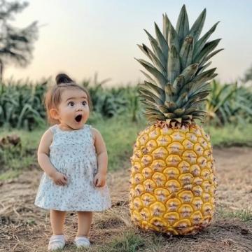 南宁人夏天爱吃水果捞你平时怎么吃?