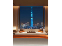 东京皇宫酒店帕雷斯酒店东京东京都中城日本