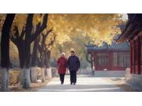 在北京相遇一场跨越时空的爱情故事
