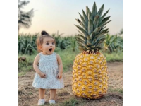 南宁人夏天爱吃水果捞你平时怎么吃？