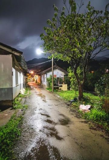 青岛小巷:雨后时光的诗行与古色青石板
