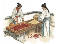乾隆年间幼儿误吞鱼钩，名医巧用佛珠化险为夷