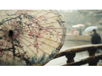 中国风情春色，极致浪漫体验