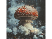 爆火！凉拌杏鲍菇，一口就爱到不行！
