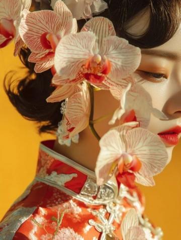 石川河畔天硕农业示范园:蝴蝶兰盛开,春节花卉盛宴来袭