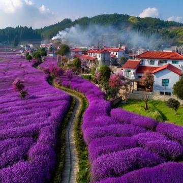 东极岛旅行指南:探索中国最东方岛屿的实用贴士与打卡秘籍