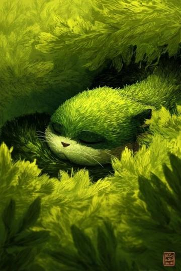 地球奇观:揭秘小动物不可思议的神秘能力