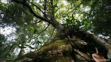 张家界以独特石英砂岩峰林和秀美风光著称