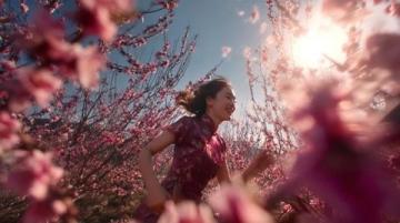 西藏林芝:遇见中国最美的春天 목적지 여행 정보