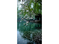 苏州旅游攻略：名园胜景、水乡古镇、美食文化一网打尽
