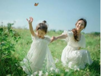 石川河畔天硕农业示范园：蝴蝶兰盛开，春节花卉盛宴来袭