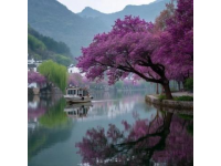 探索云南春季之旅：详尽攻略解锁鲜花盛开的秘密