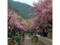 鞍山两日游深度体验指南 - 探访春意盎然的城市景观与人文历史
