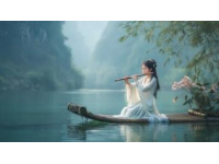 厦门之旅：海风轻拂，繁花伴行，筼筜湖畔白鹭飞舞