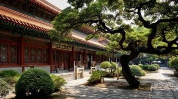 杭州美食之旅:品味西湖醋鱼、龙井虾仁的江南风味