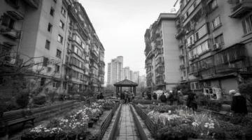 都市生活的魅力与压力:光鲜背后的真实图景