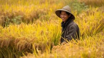 舌尖上的中国:美食之旅